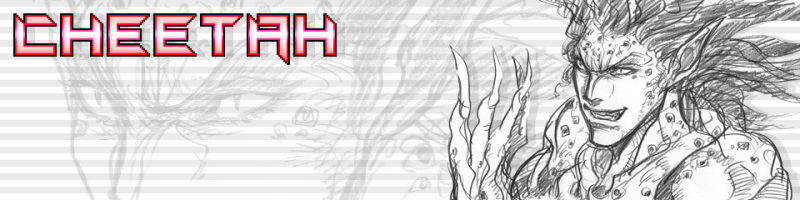 File:XJLT Cheetah Banner.png