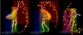 Thumbnail for version as of 11:48, 11 October 2018